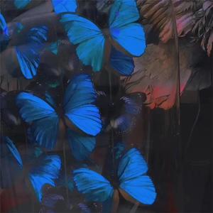 老司机资源在线
