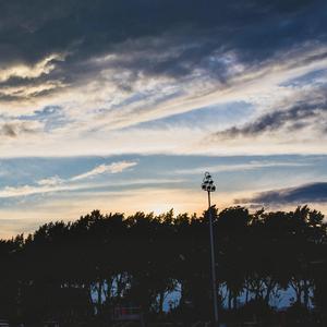 老司机资源在线
