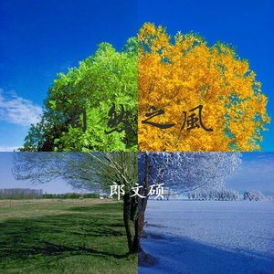 老司机资源在线
