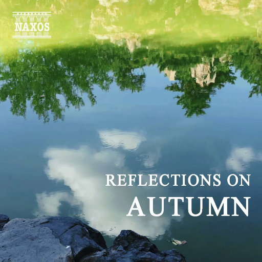 老司机资源在线
